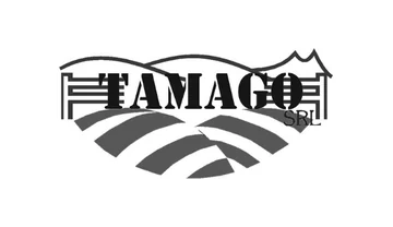 Tamago
