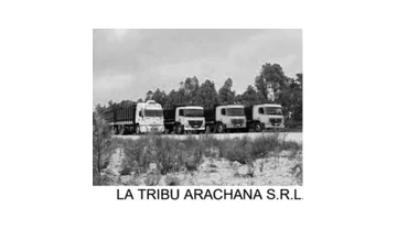 La Tribu Arachana